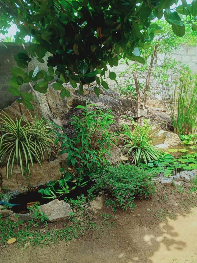 Sidhangana Home Stay Holambra Exterior foto