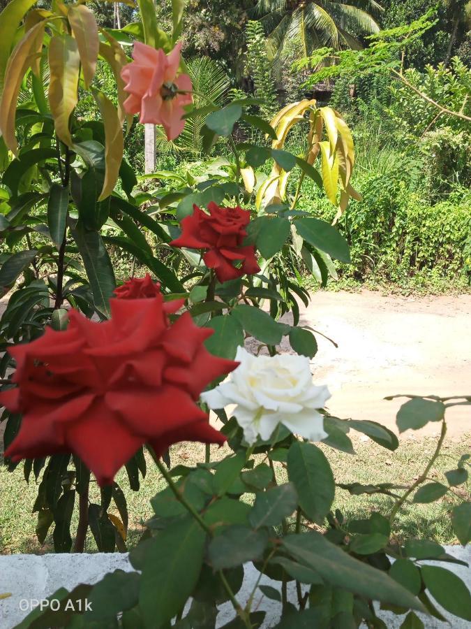 Sidhangana Home Stay Holambra Exterior foto