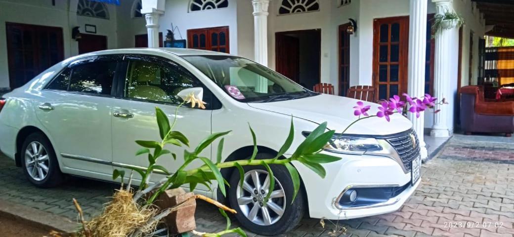 Sidhangana Home Stay Holambra Exterior foto